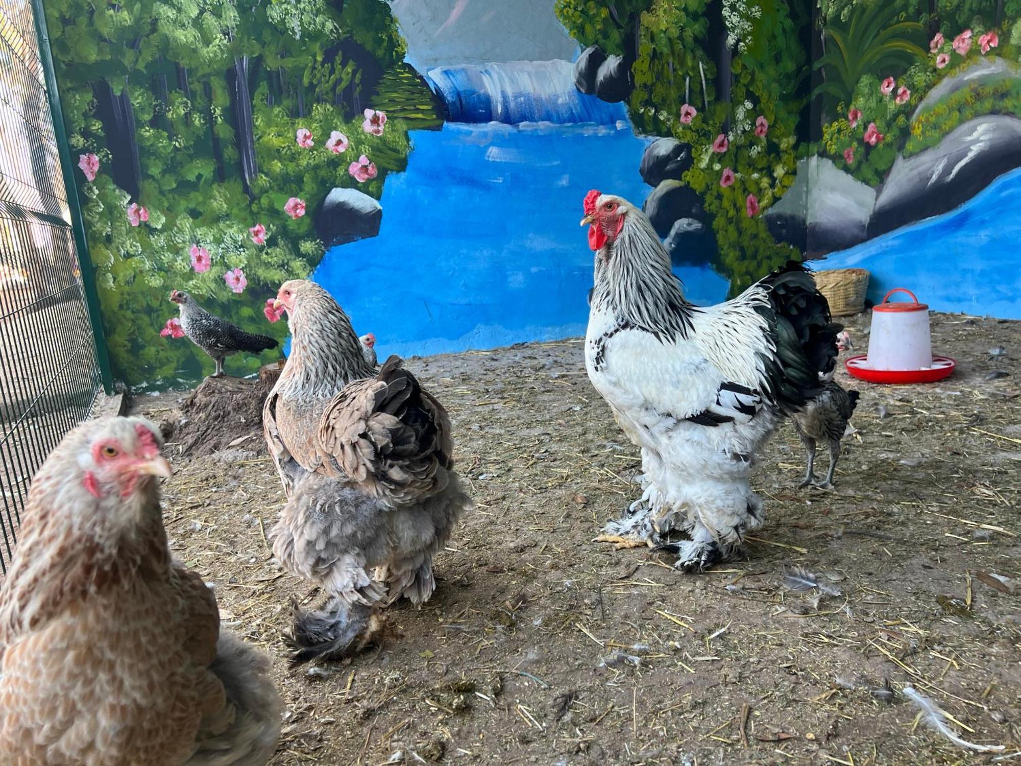 Maison De Campagne Dar Said Ben Hajj Ngoại thất bức ảnh